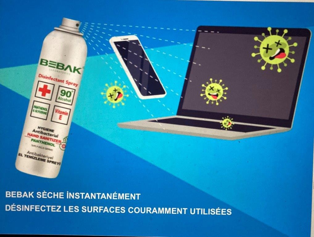 Désinfectant Liquide Special Maison - Sprayer - 750ml - X6 à Prix